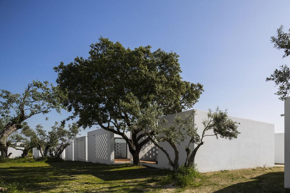 The Lince Ecorkhotel אבורה מראה חיצוני תמונה